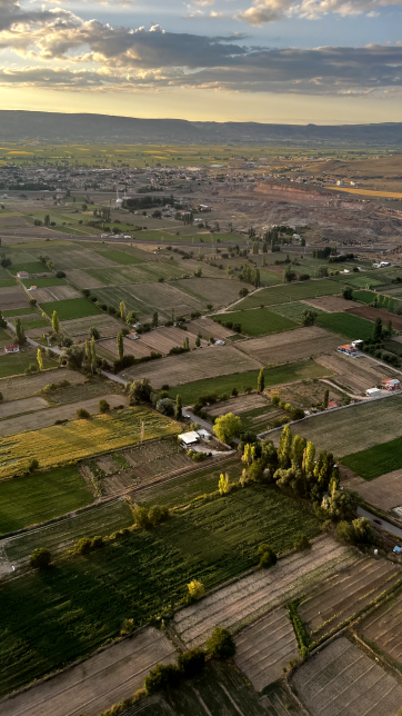 aerial shot