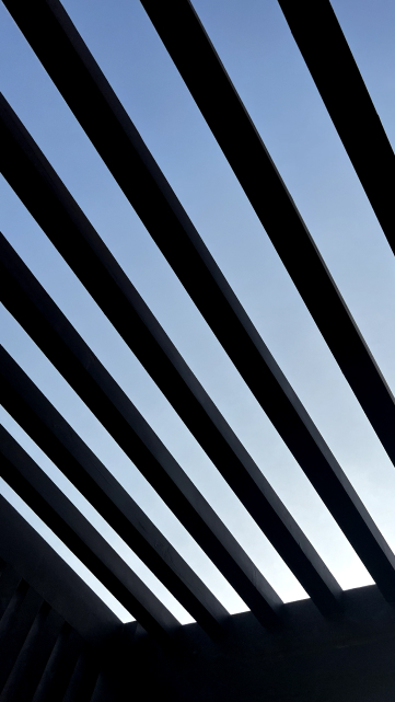 lines
