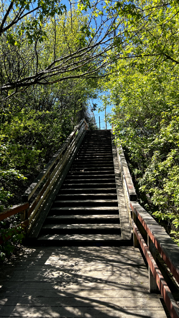 stairs
